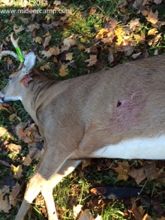 John Hartline and his 6 point 2014