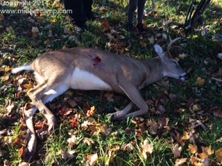 John Hartline and his 6 point 2014