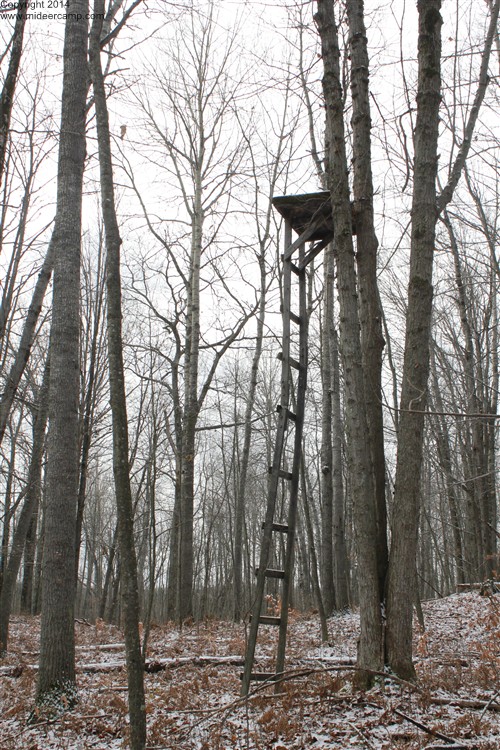 Deer Hunting Old Tree Stand