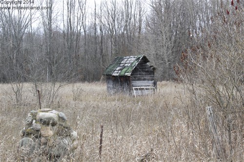 An Old Shed in a Field