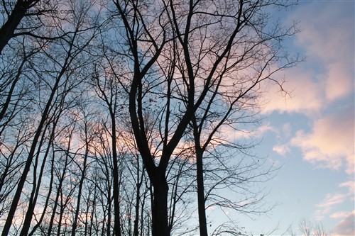 Sunset at Deer Camp