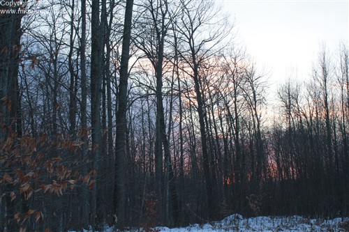 Sunset at Deer Camp