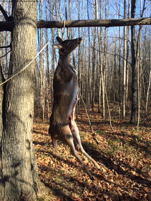 John with his Doe