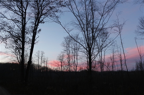 Sunset over Deer Camp pic 15