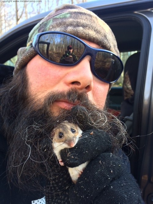 Little Mouse in Beard