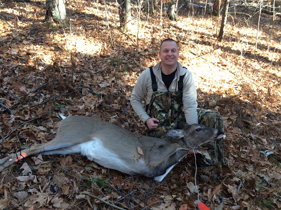 Dave's Deer Kill 2015