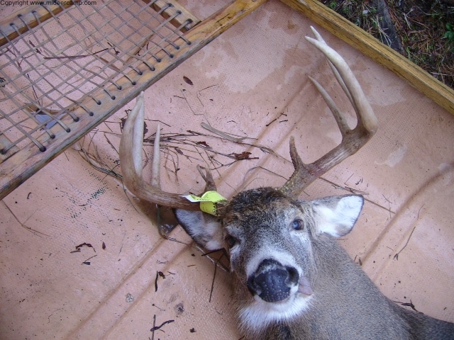 8 point in a Canoe