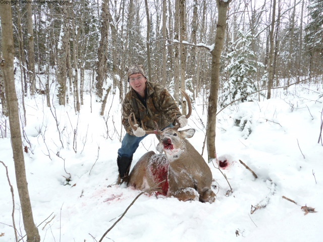 Ontario Archery Deer Hunting