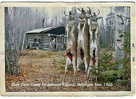 Vanden Bosch, Drummond Island, Glen Cove Deer Camp