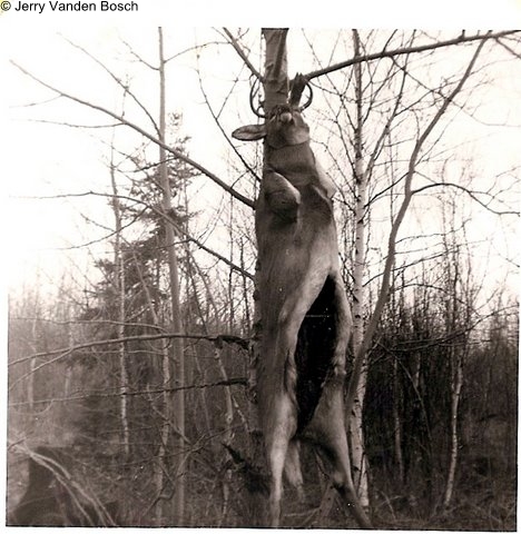 Vanden Bosch, Drummond Island, Glen Cove Deer Camp